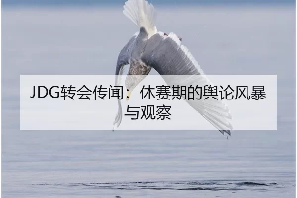 JDG转会传闻：休赛期的舆论风暴与观察